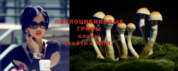 амф Заволжье