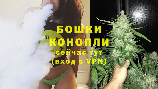 амф Заволжье